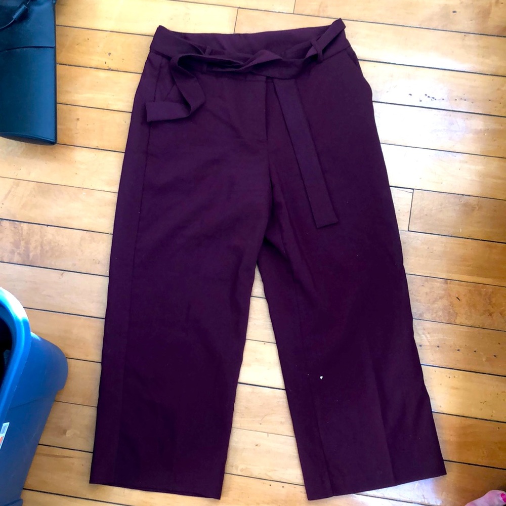 Wide leg high waisted with belt pleated pants